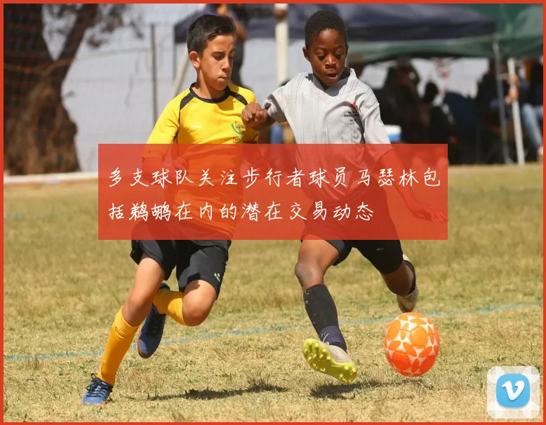 多支球队关注步行者球员马瑟林包括鹈鹕在内的潜在交易动态